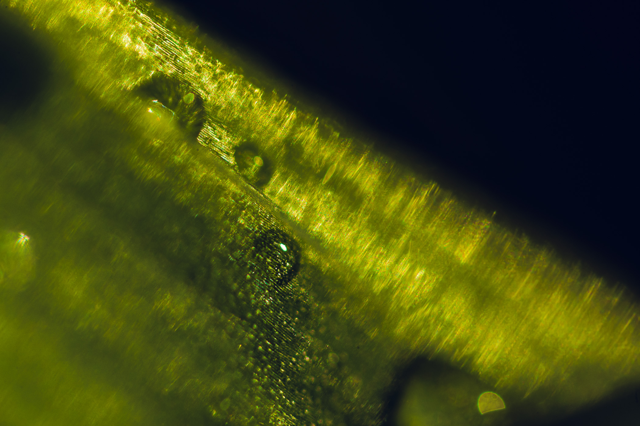 2021_04_16_425137.jpg
