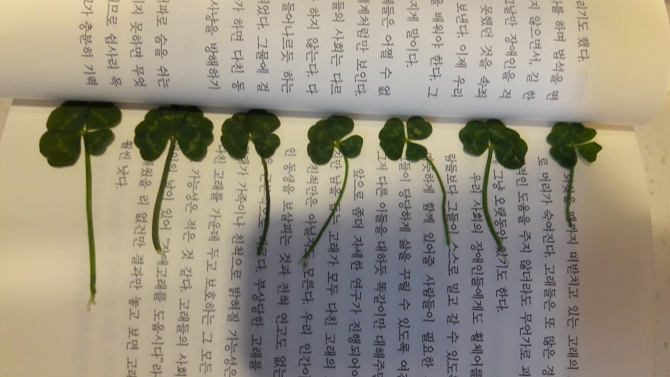 KakaoTalk_Photo_2019-04-04-09-18-43.jpeg