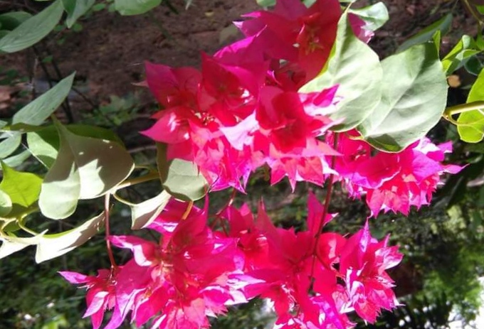IMG_20230210_022126.jpg