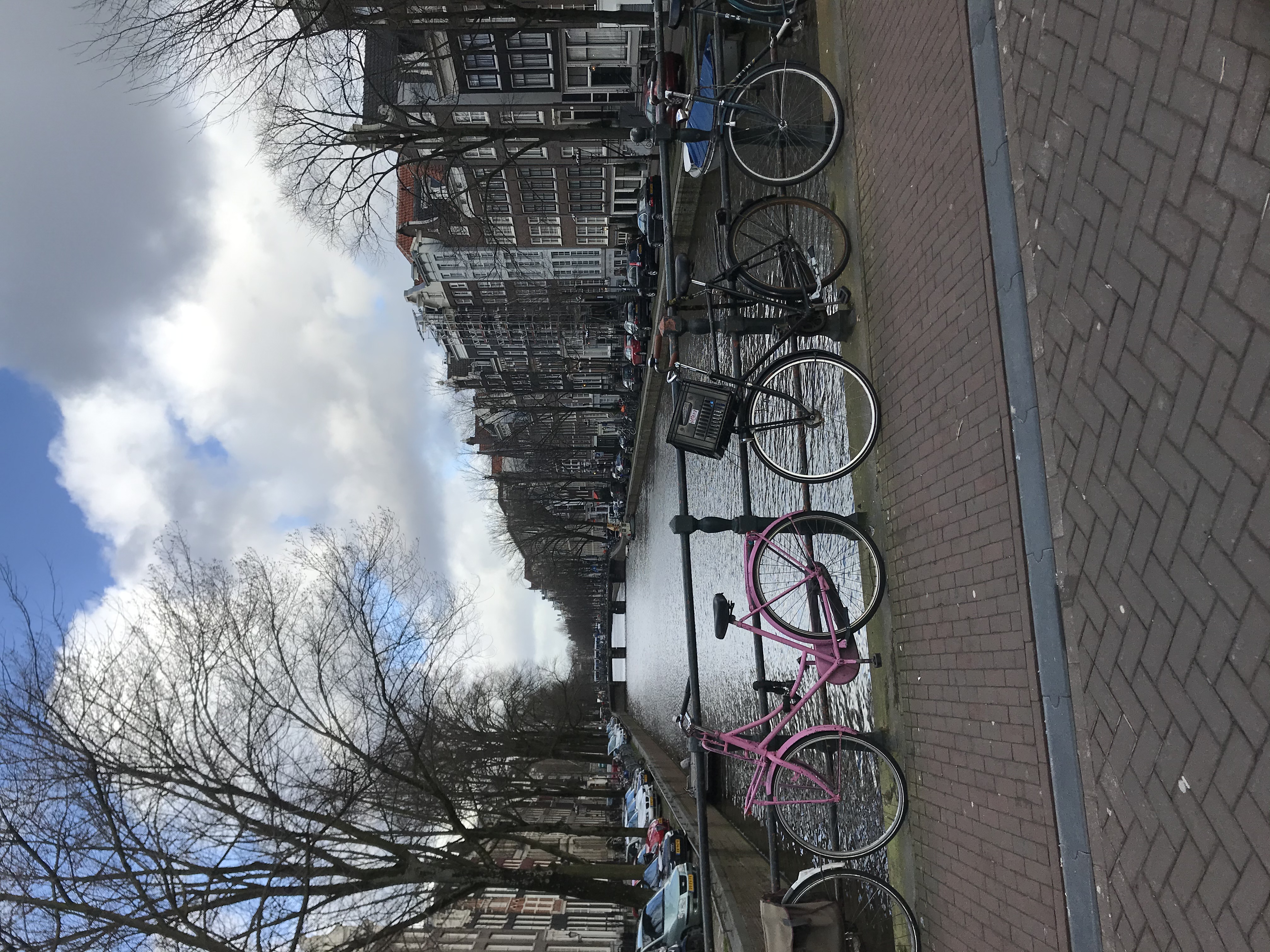 821ED18F-3627-47D4-A38D-F6F0D7A32539.jpeg