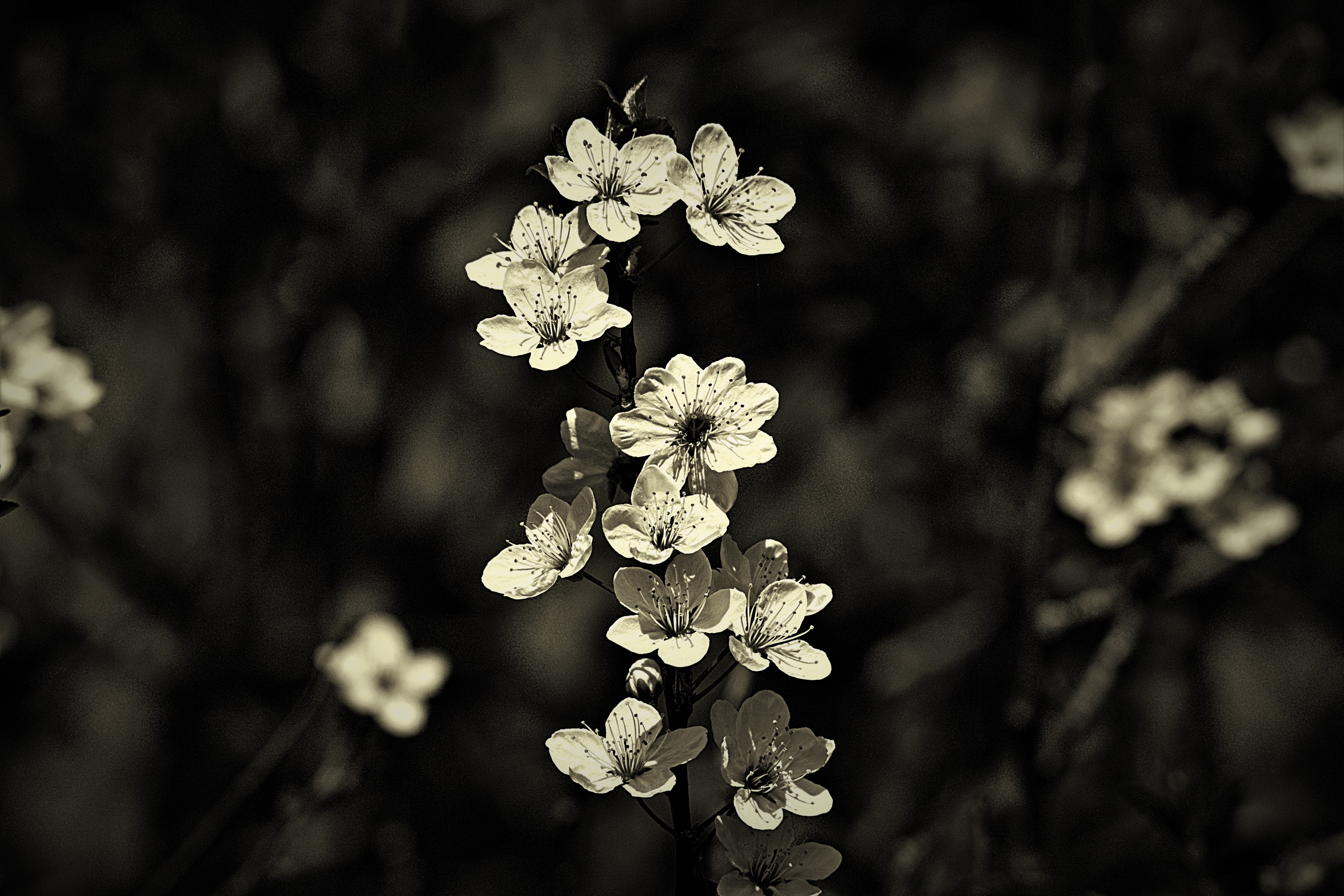 IMG_1394_InPixio (3)_InPixio.jpg