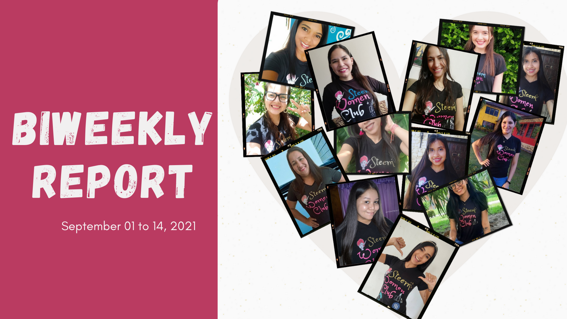 Biweekly report.png