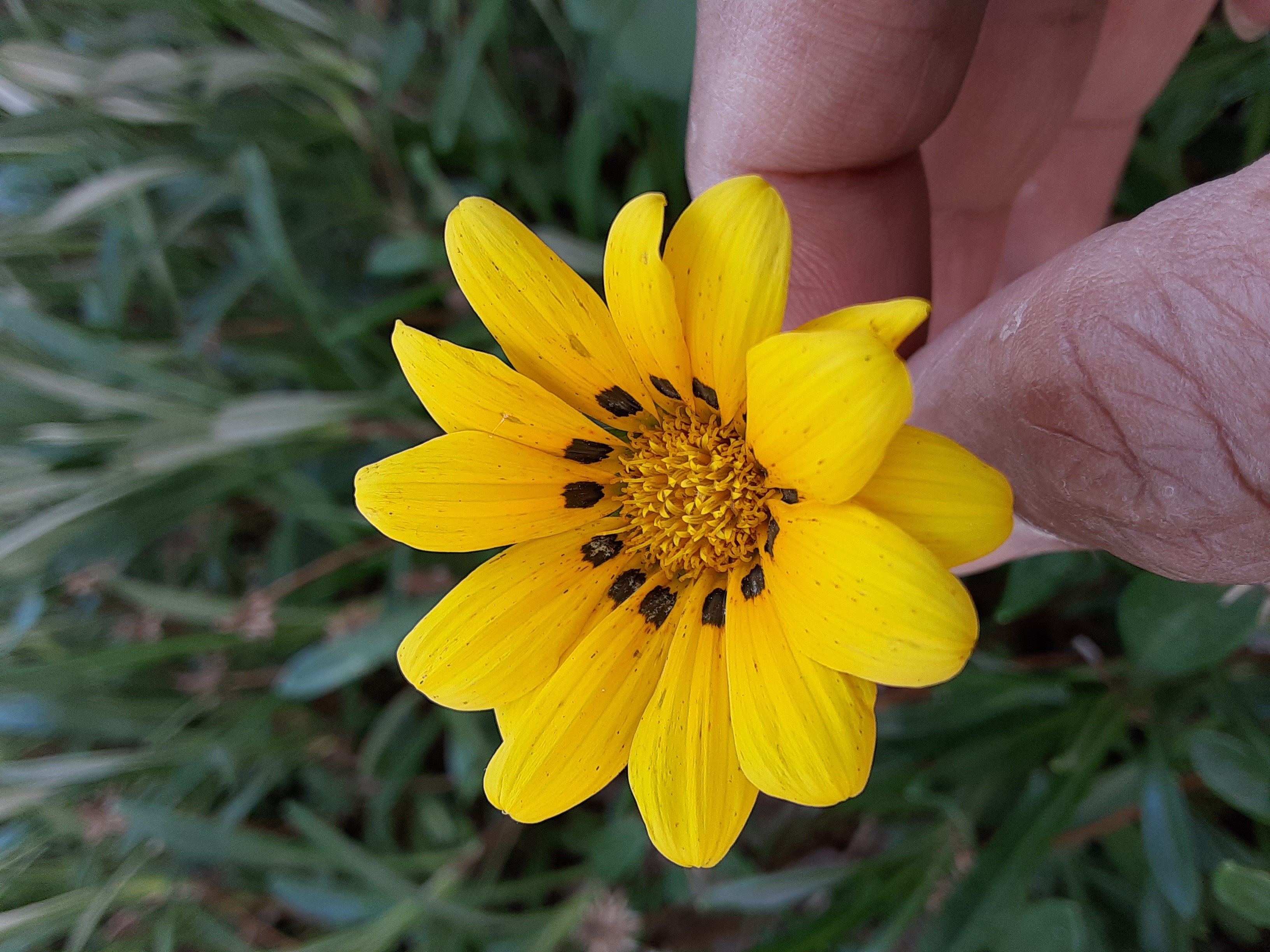 20220613_125202.jpg