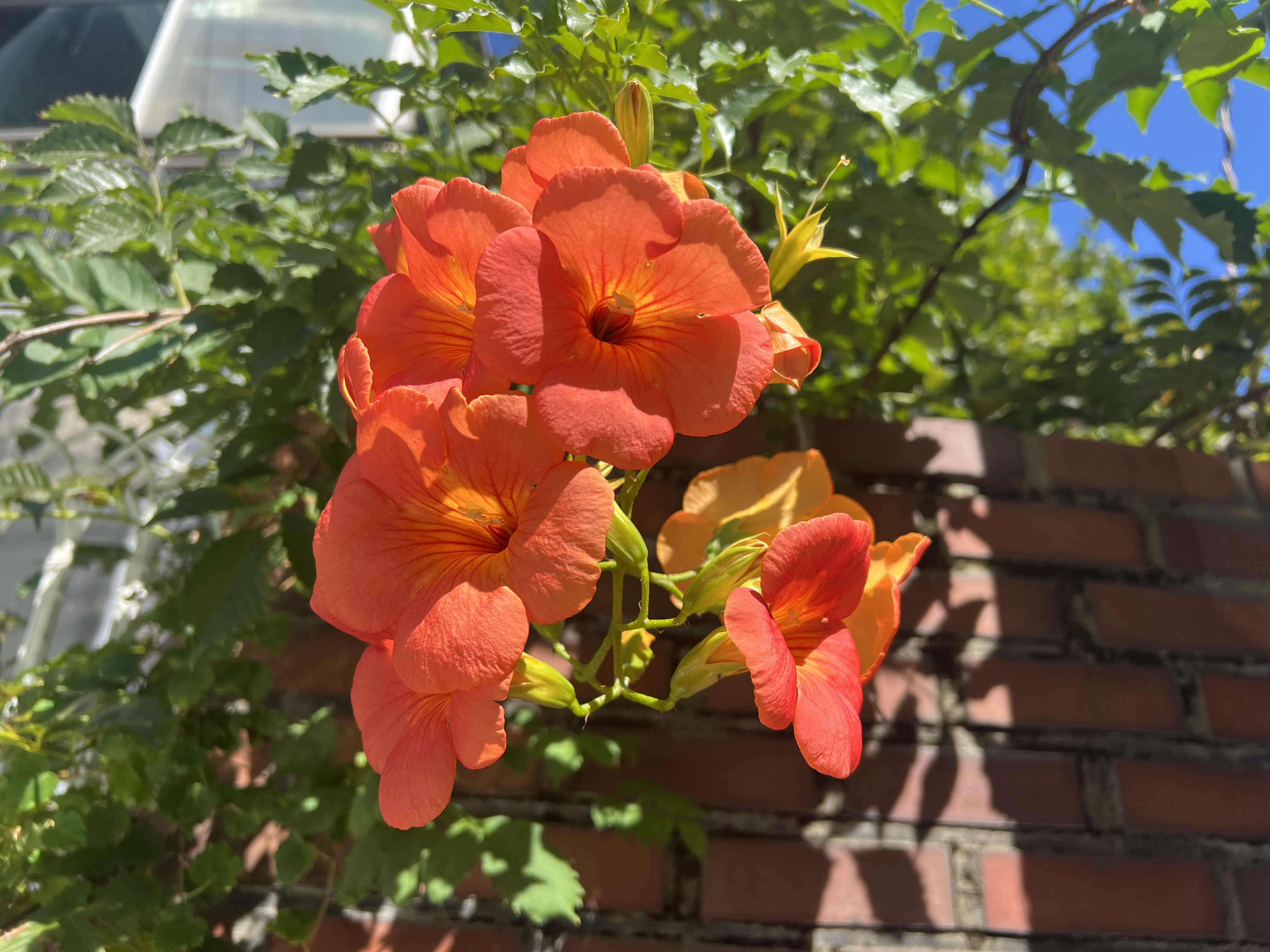 IMG_5404.jpeg