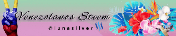 Banner personal/venezolanos 