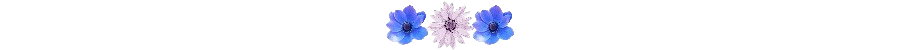 20240508_230816_0000-removebg-preview.png