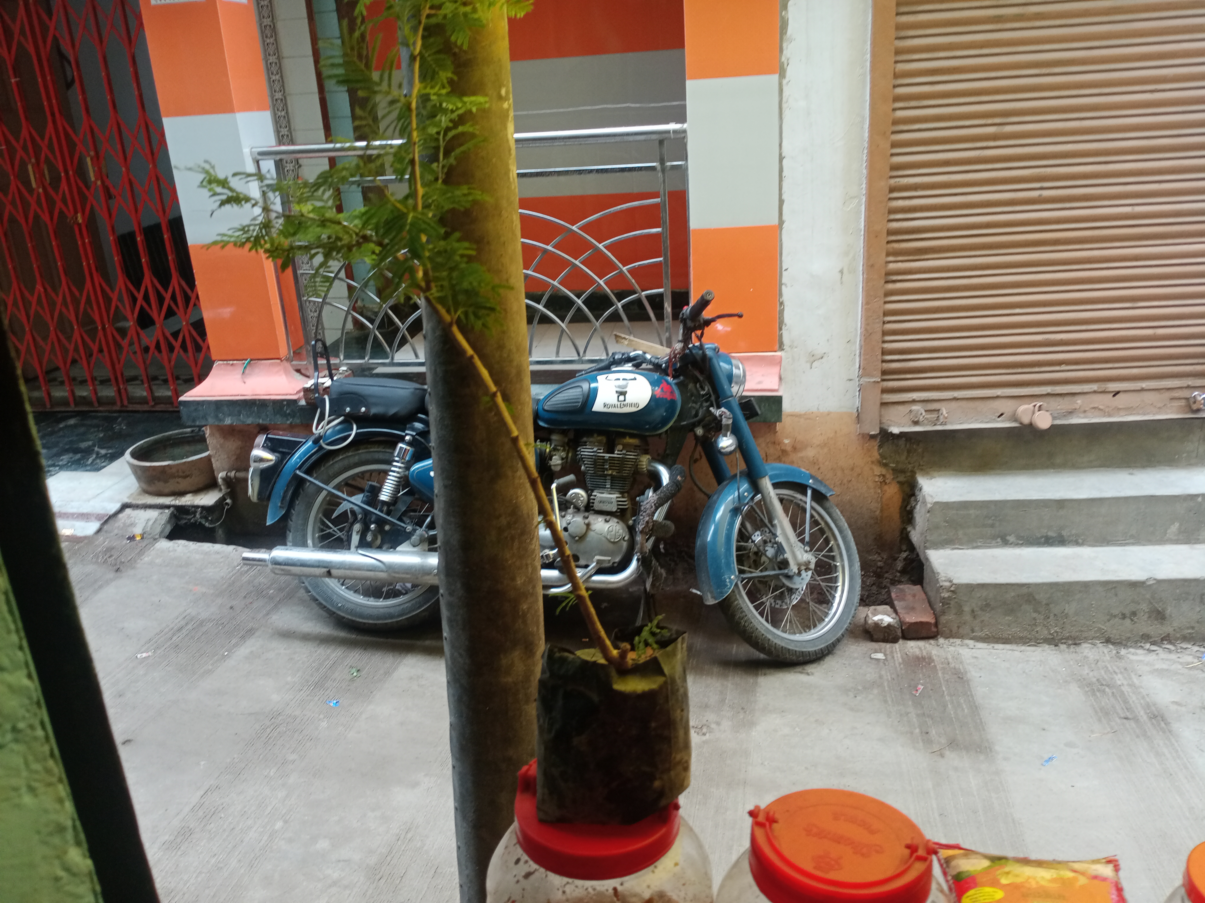 IMG20260724141723.jpg