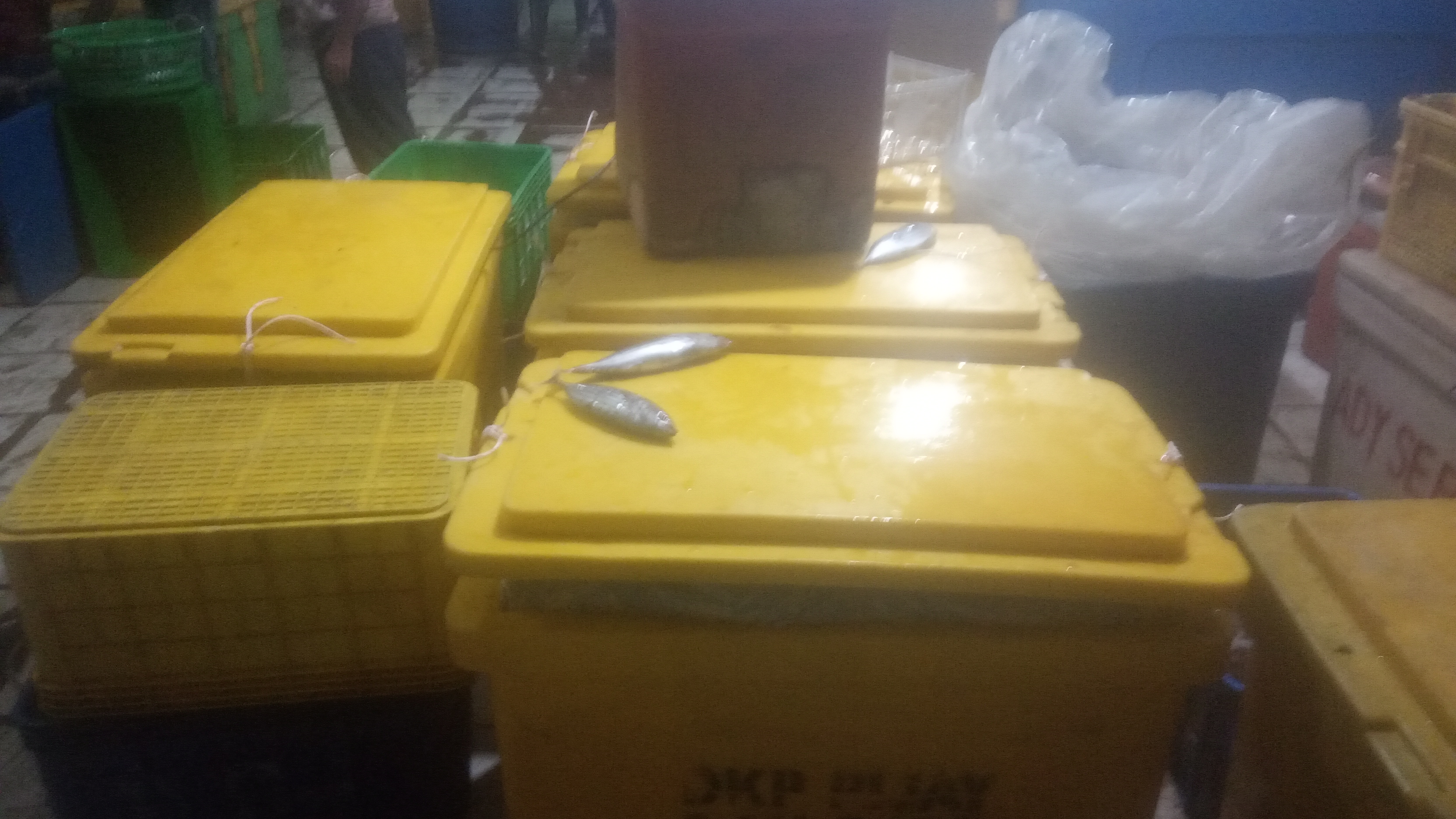 IMG-20230407-WA0058.jpeg