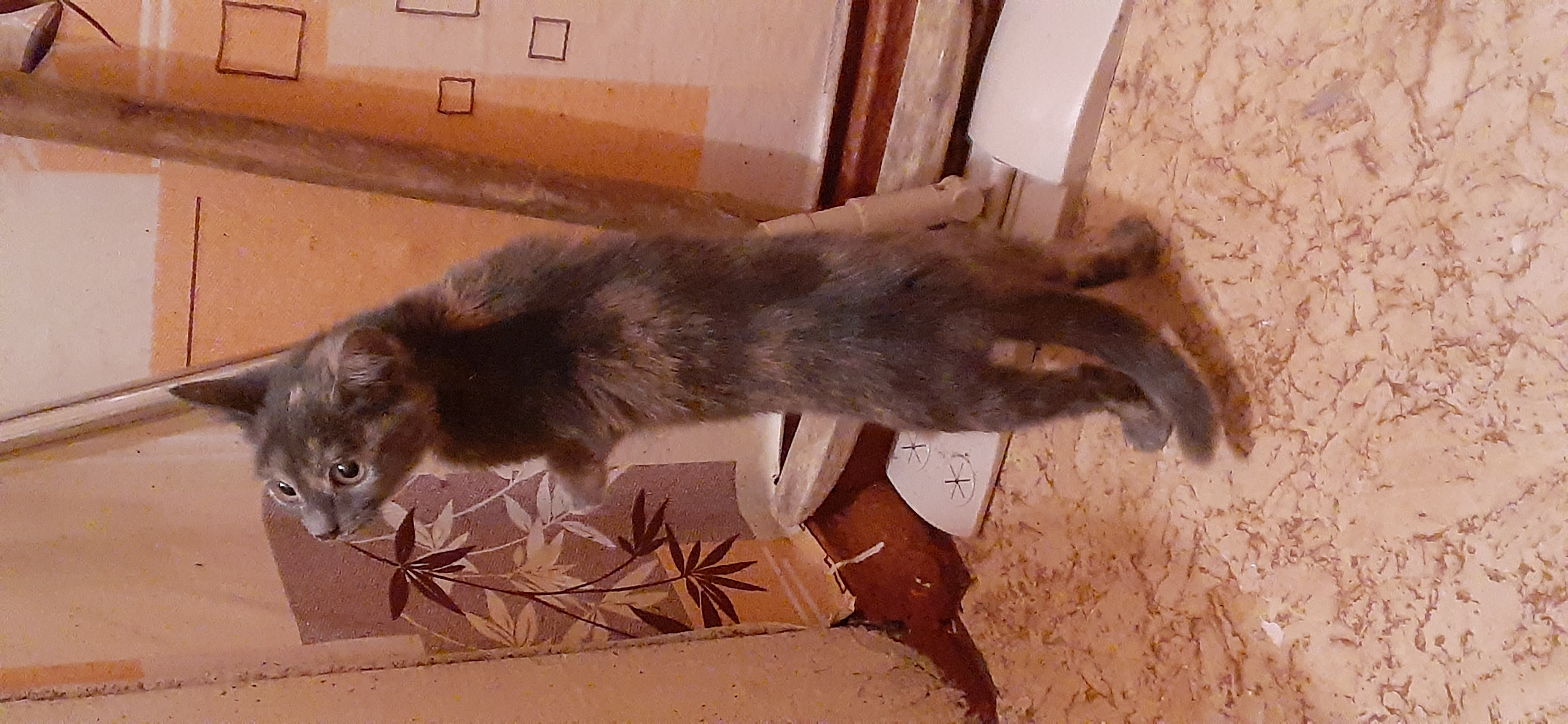20201031_160946.jpg