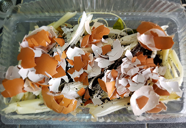 Compost06.jpg