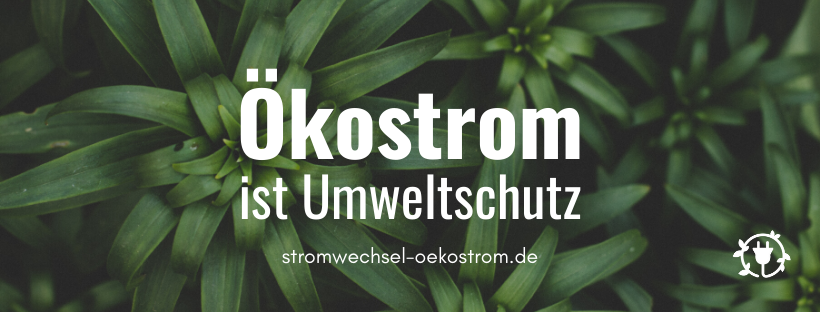 Ökostrom ist Umweltschutz..png