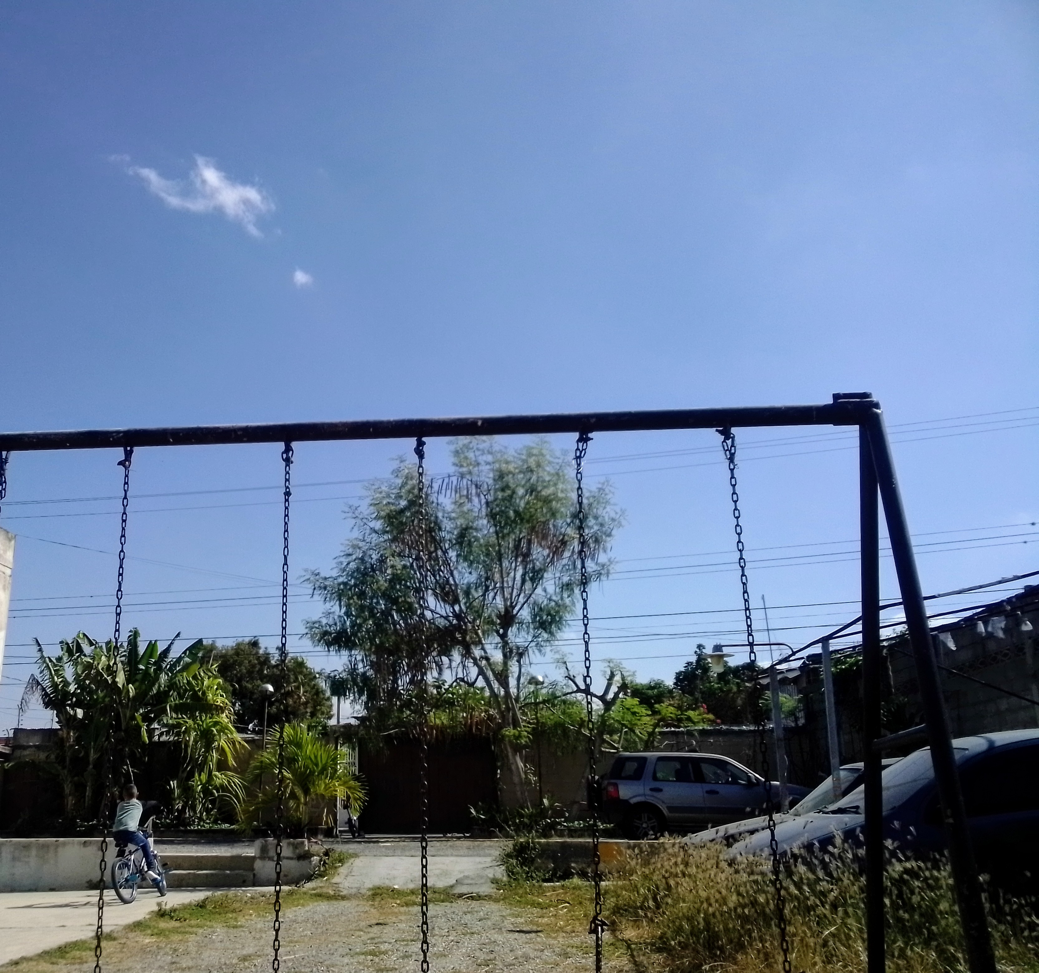 IMG_20210202_103056.jpg