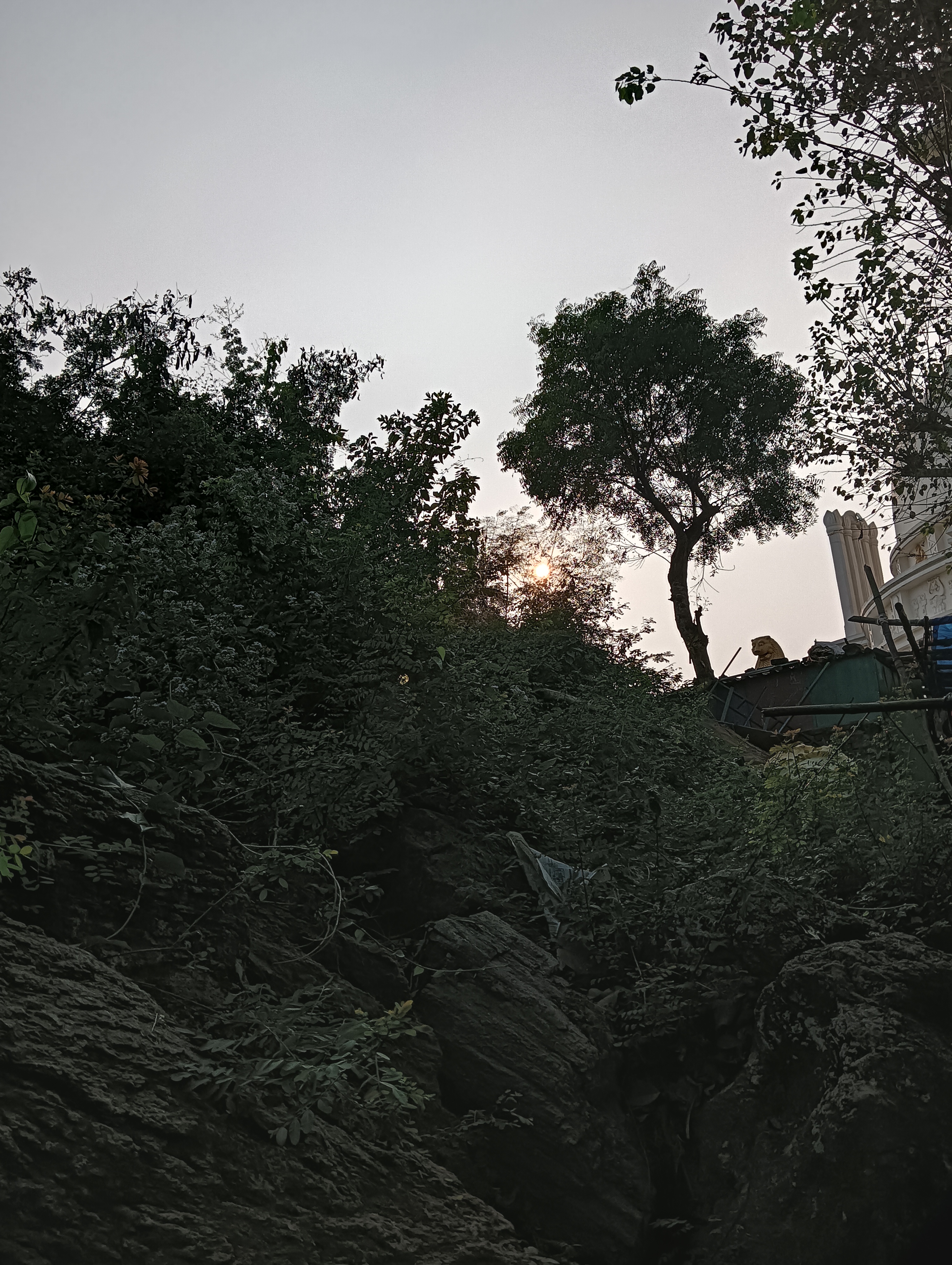 IMG20231231154019.jpg