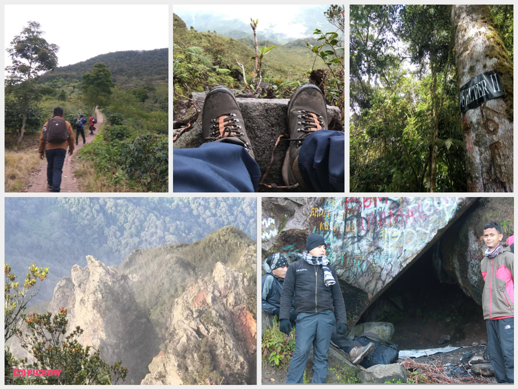 photo-collage (2).png