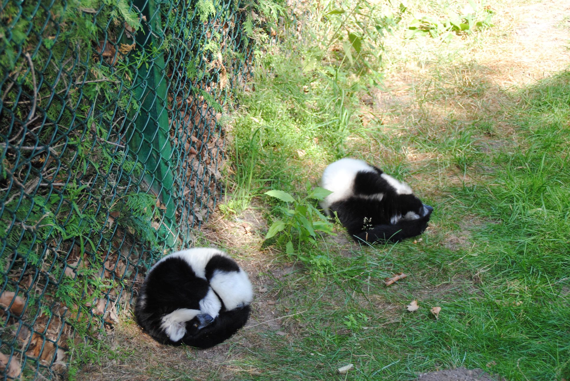 image060.jpg