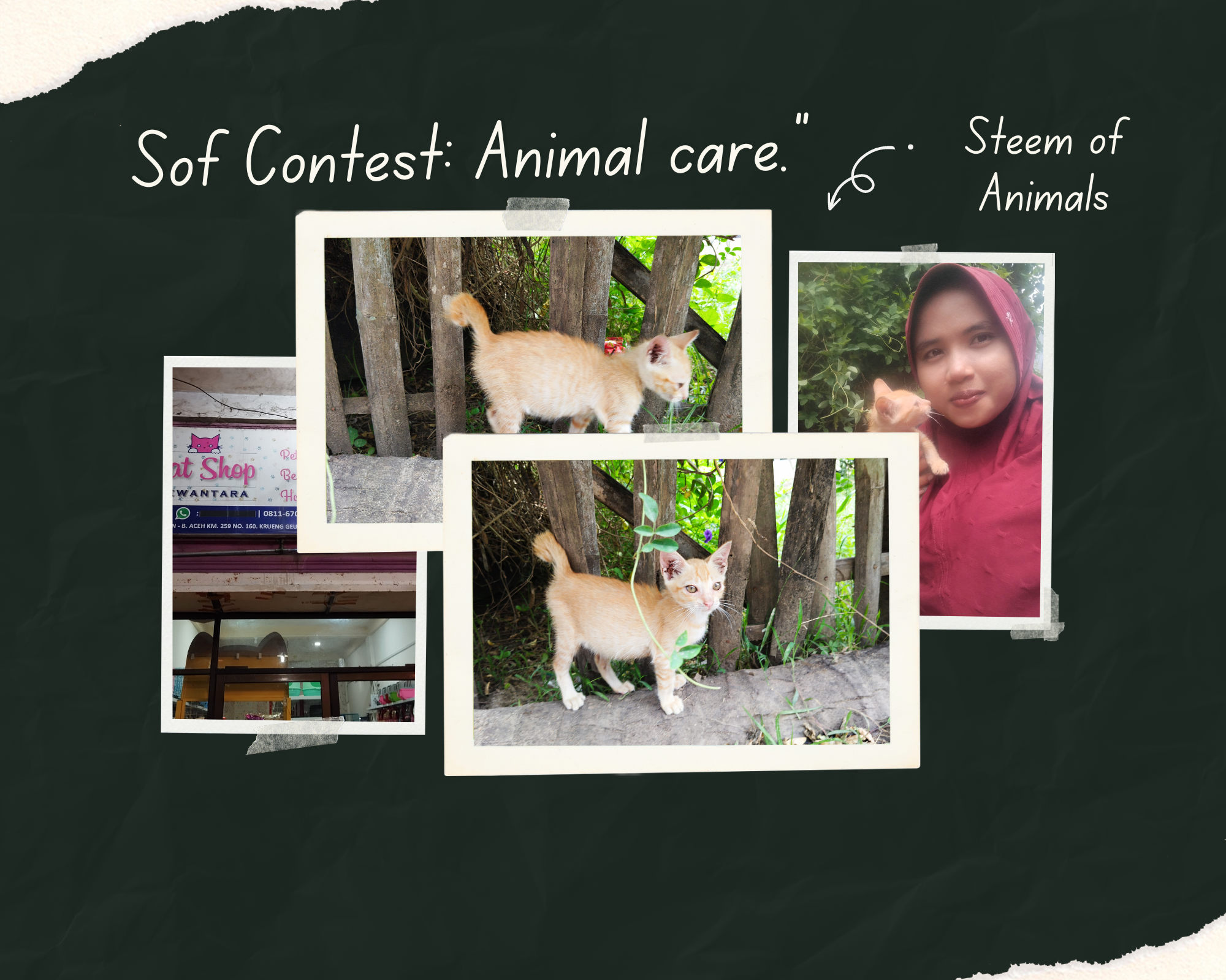 IMG_20240812_015311.png