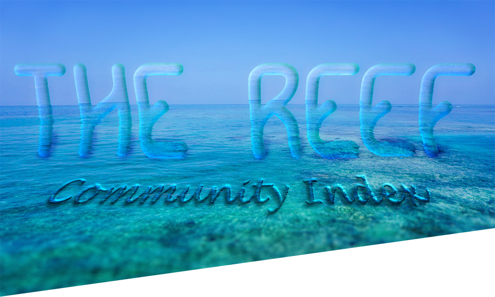 The Reef Temporary Cover