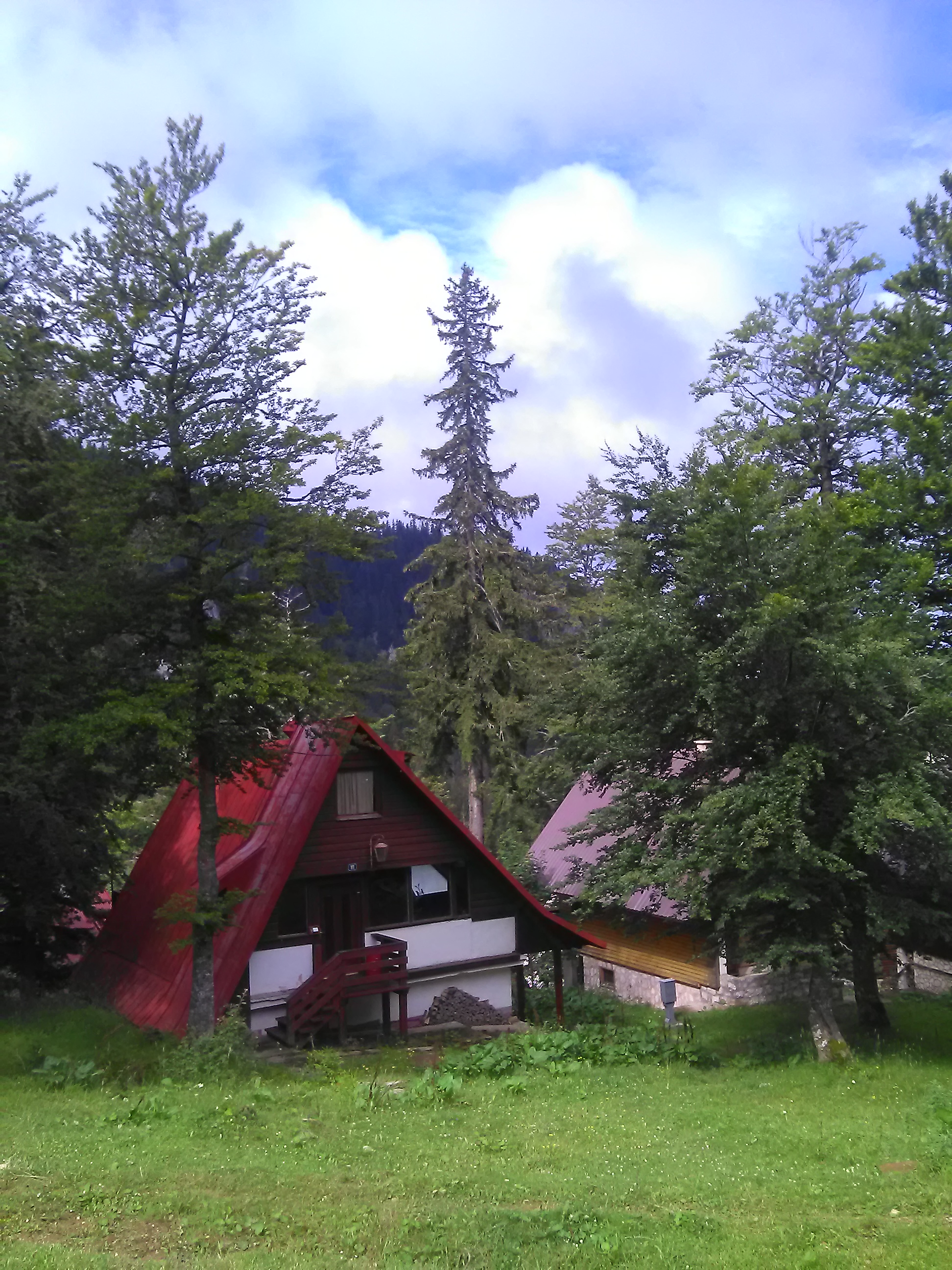 IMG_20180728_093754.jpg