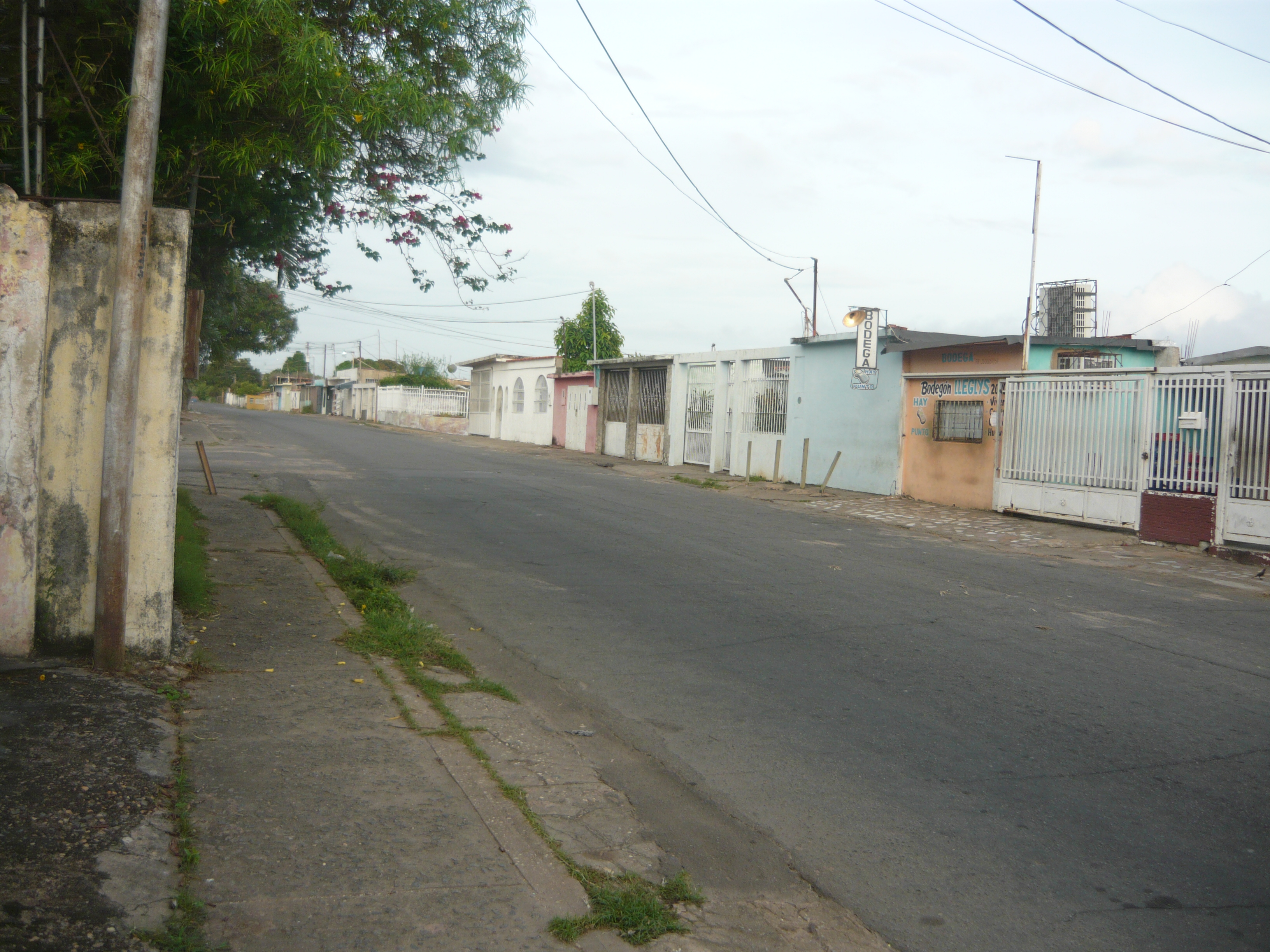 P1120199.JPG