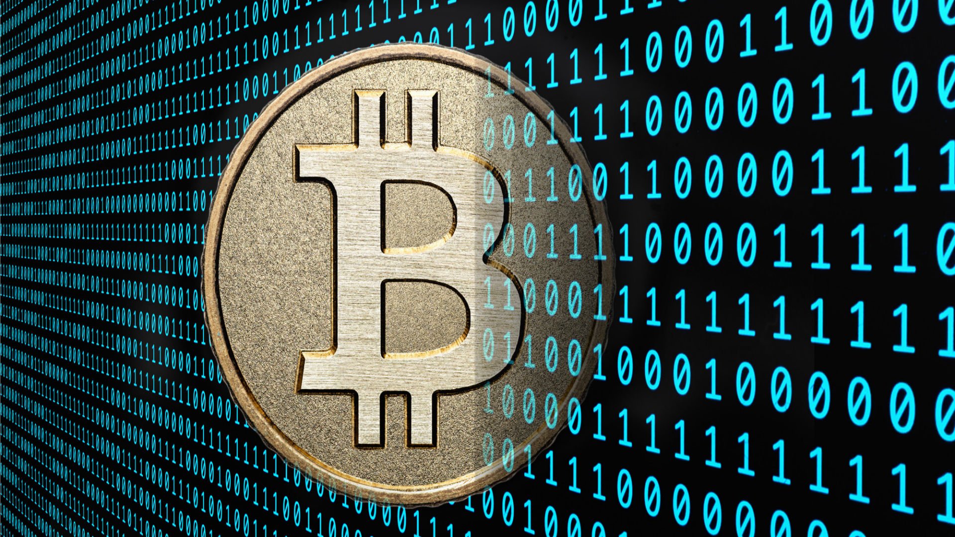 btc-hd.jpg
