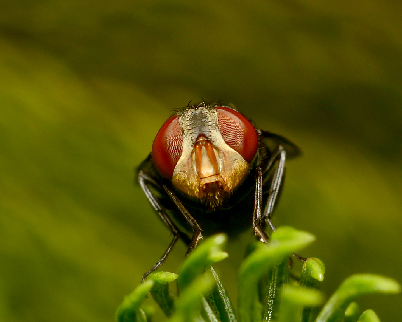 DSC_3716.jpg