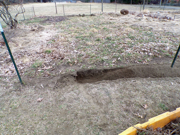 Big garden - west side progress crop March 2020.jpg