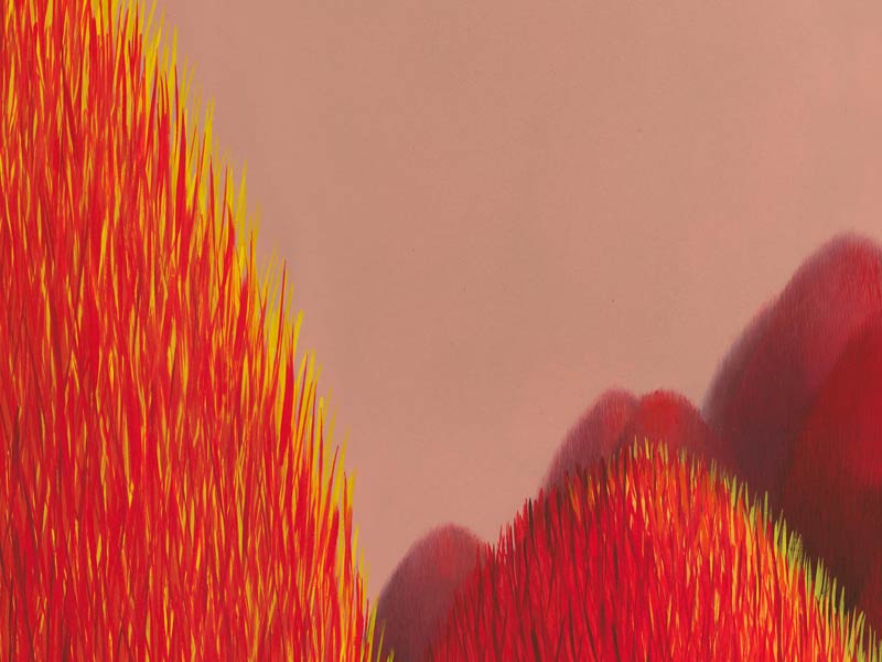 populus-detail.jpg