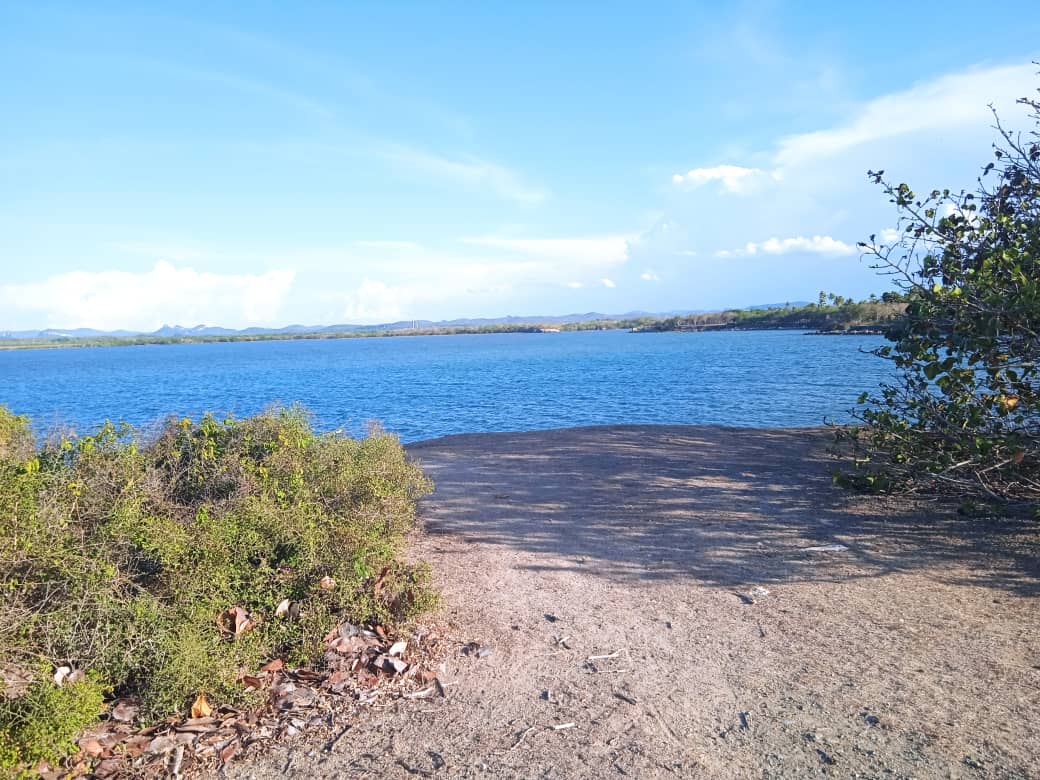 WhatsApp Image 2025-08-31 at 5.36.01 AM (1).jpeg