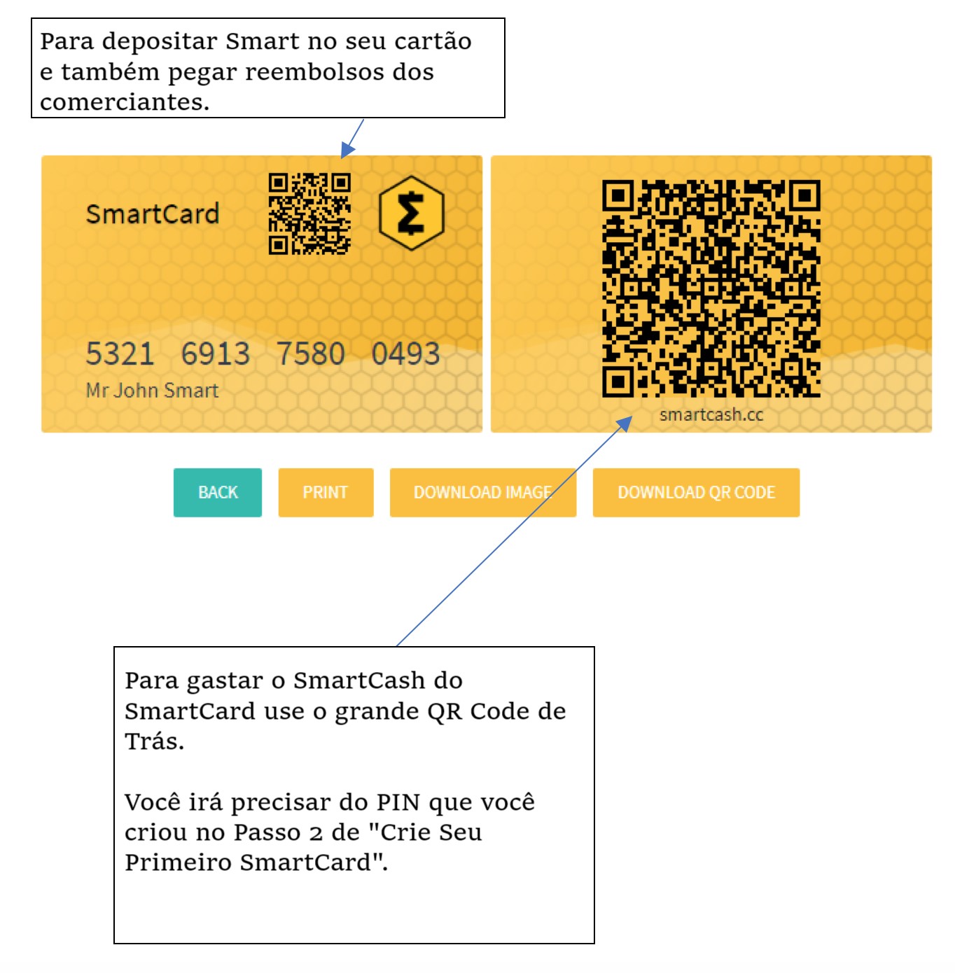 AnatomiaSmartCard.jpg