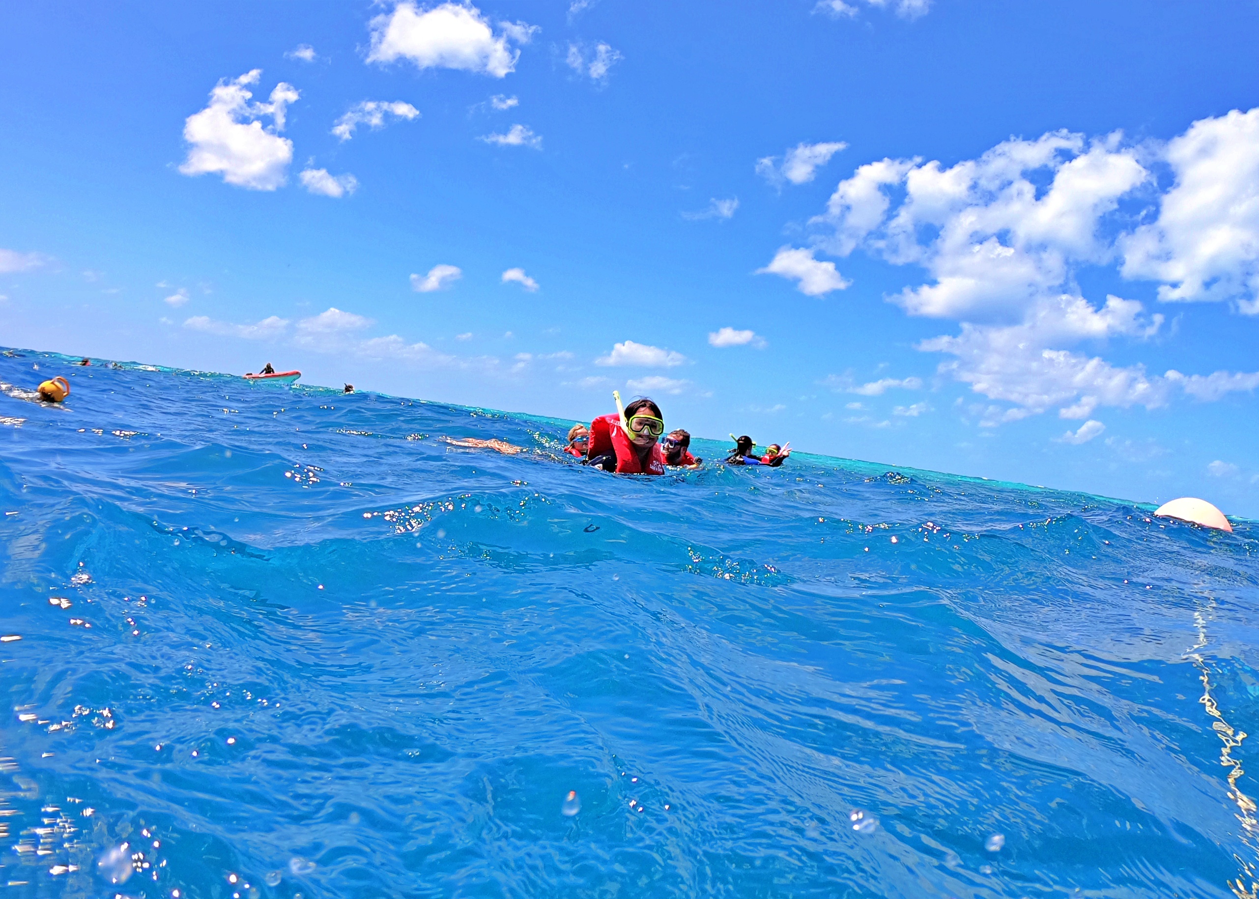 GOPR8771a.jpg