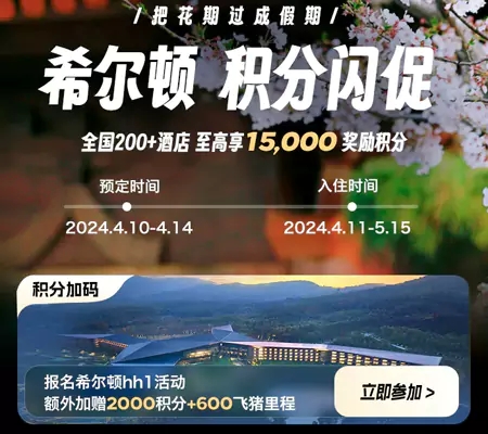 hilton-fliggy-sales-20240411.webp.jpg