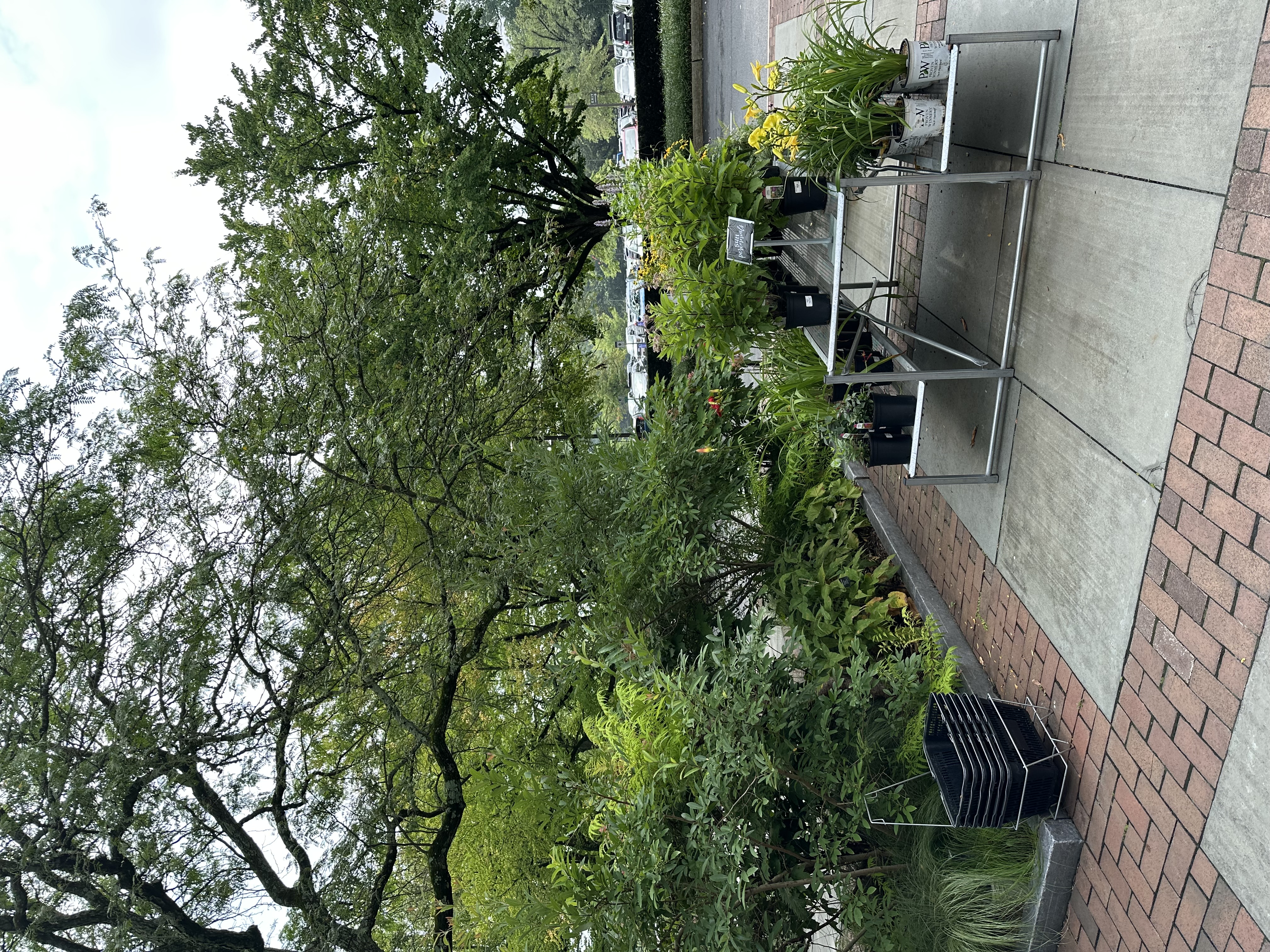 IMG_5542.jpeg