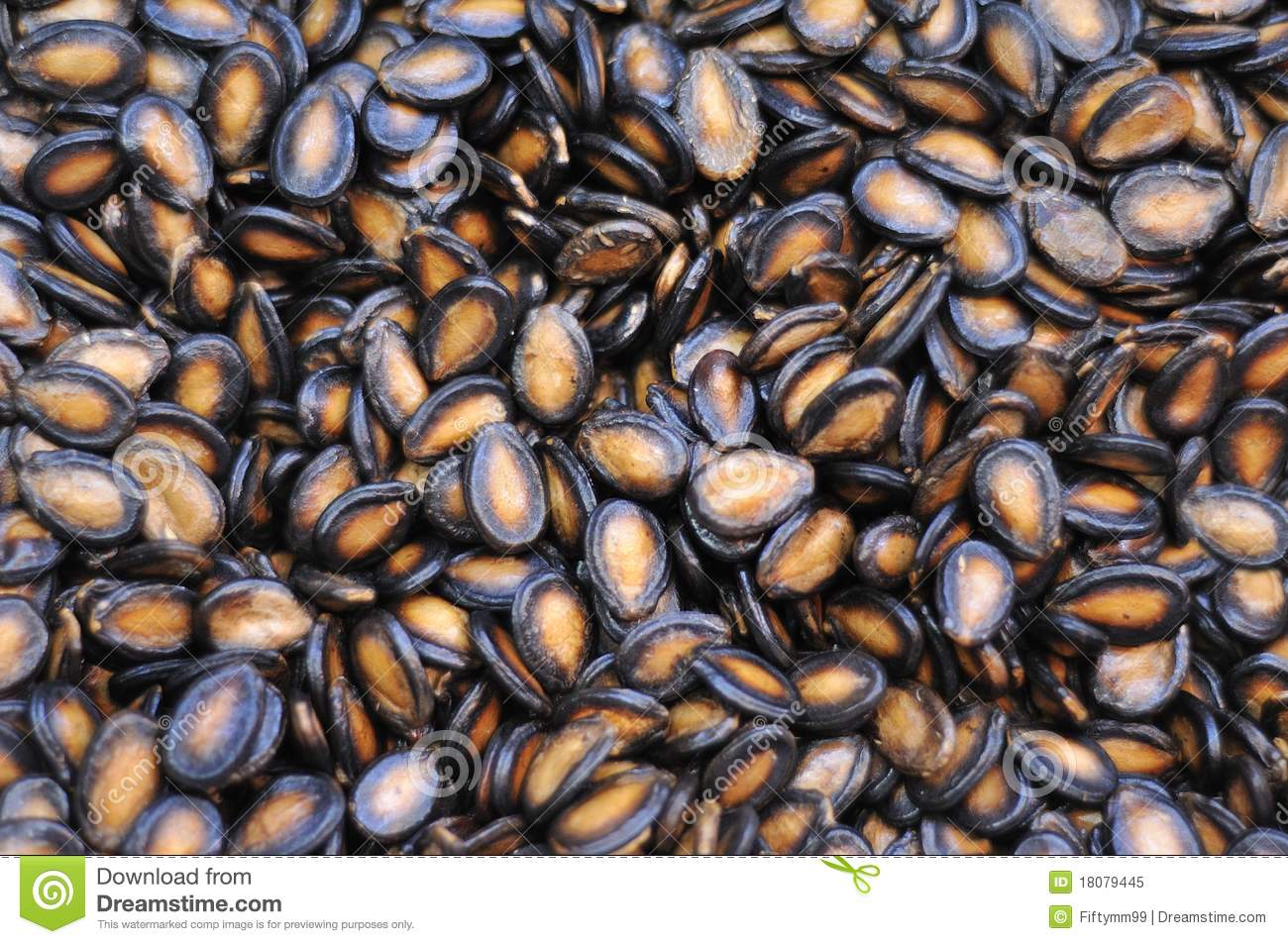 black-pumpkin-seed-18079445.jpg