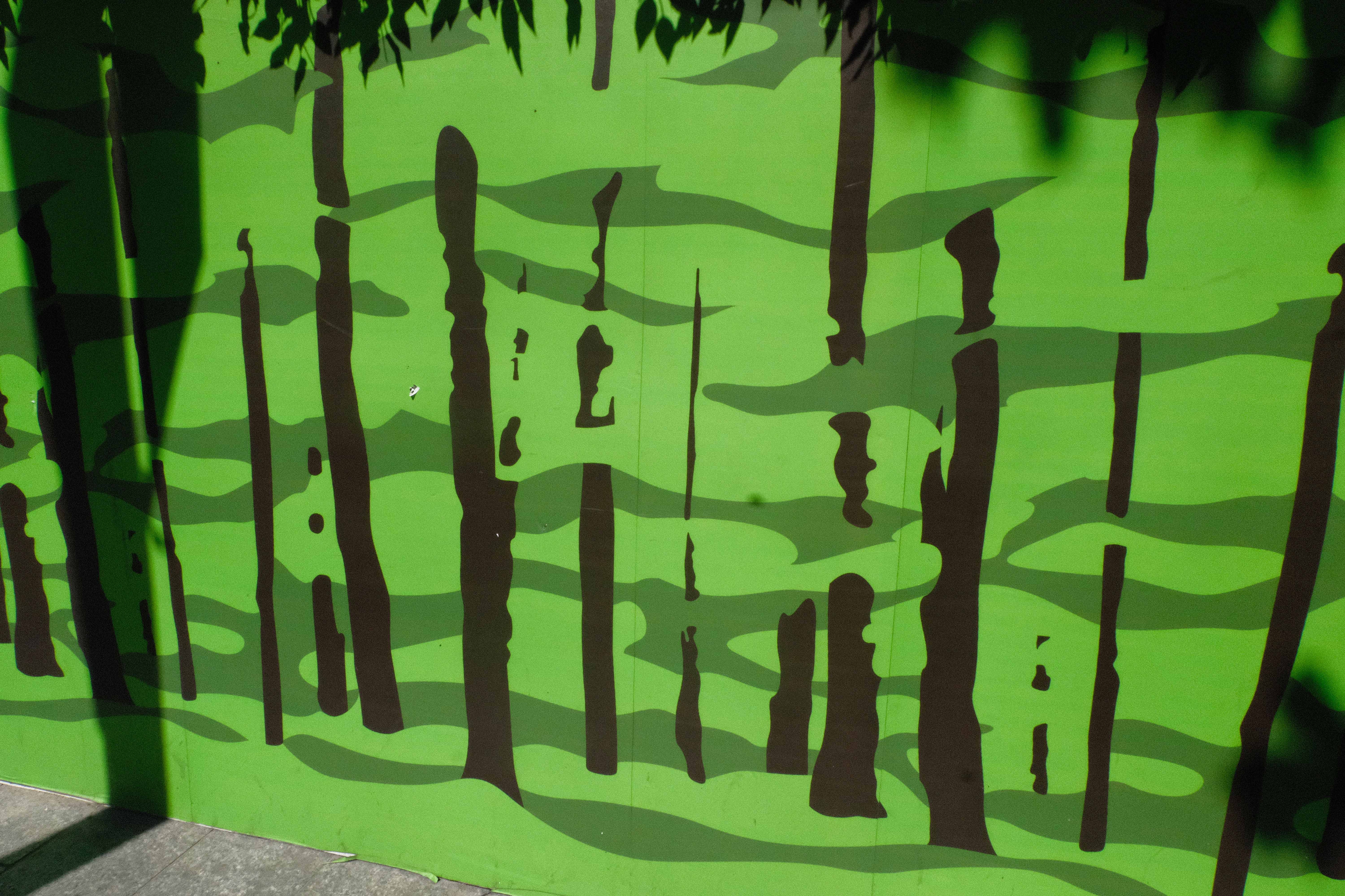 DSCF9127.jpg