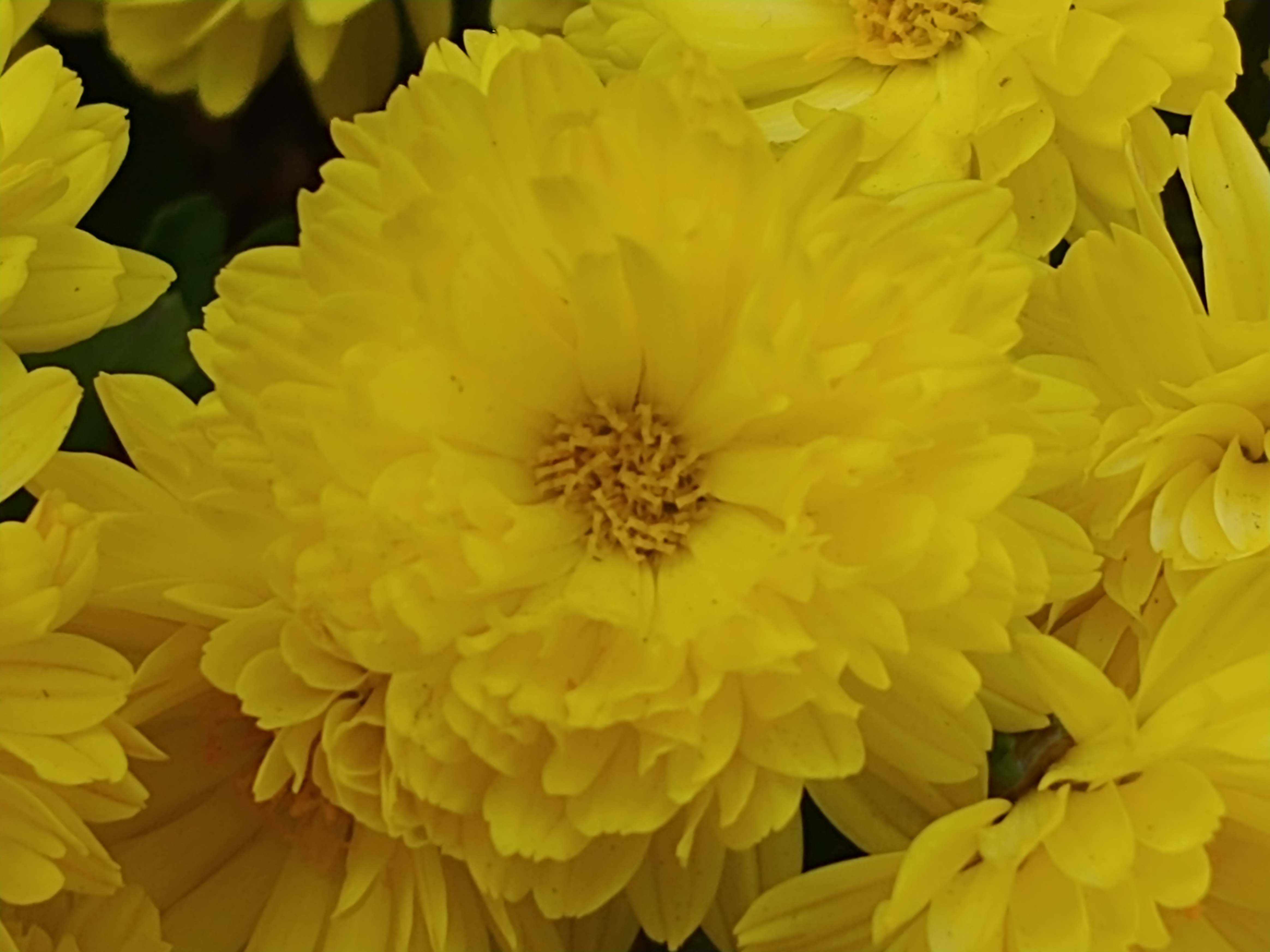 20201107_111321.jpg