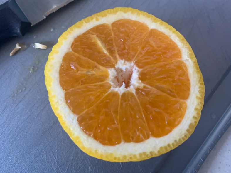 4.png