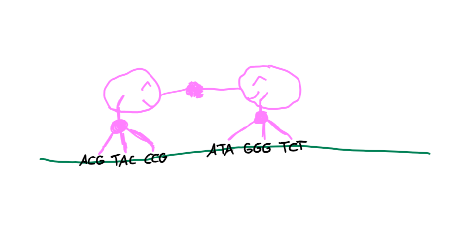 Sketchzfn.png