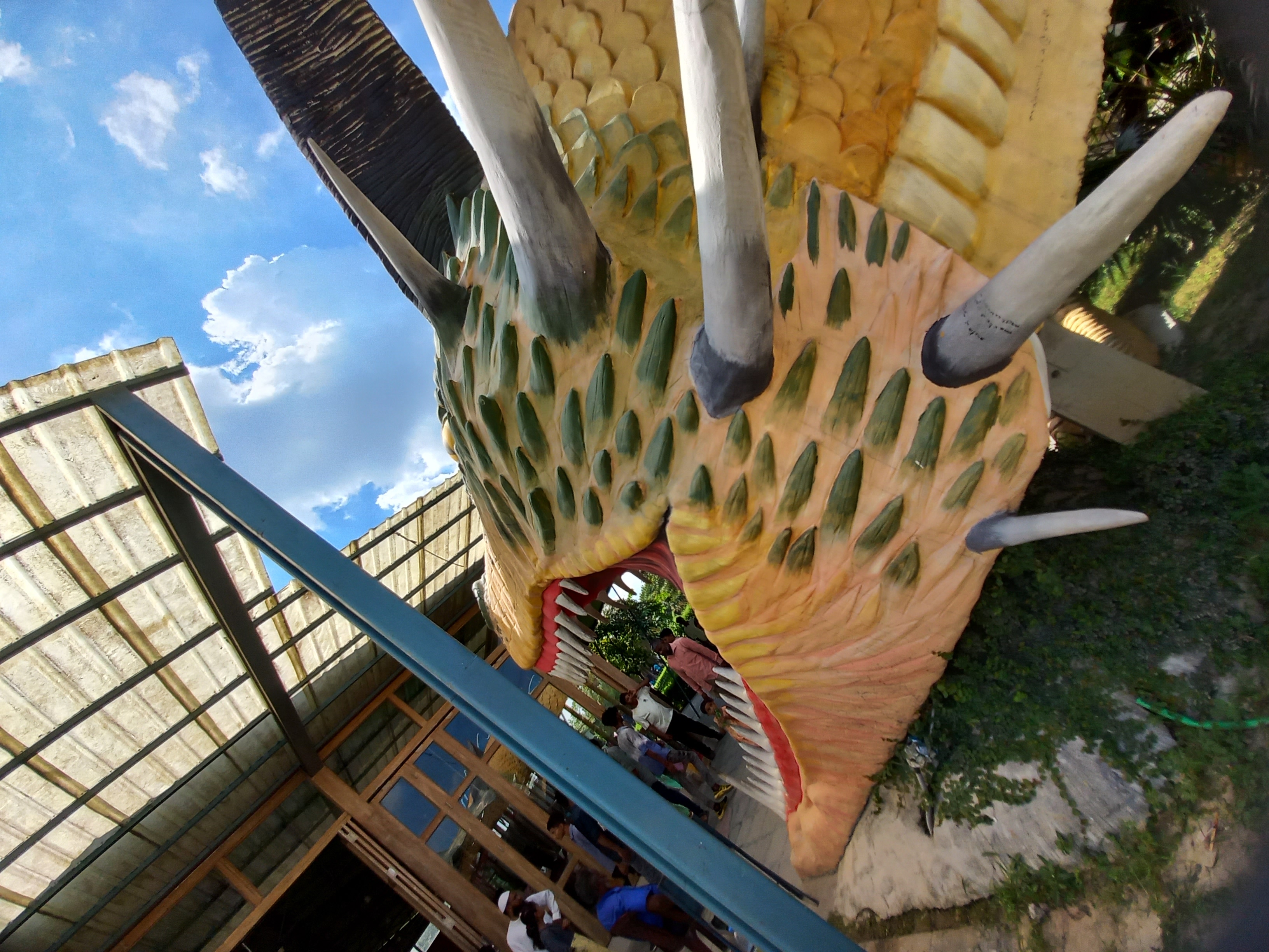 20220713_143214.jpg