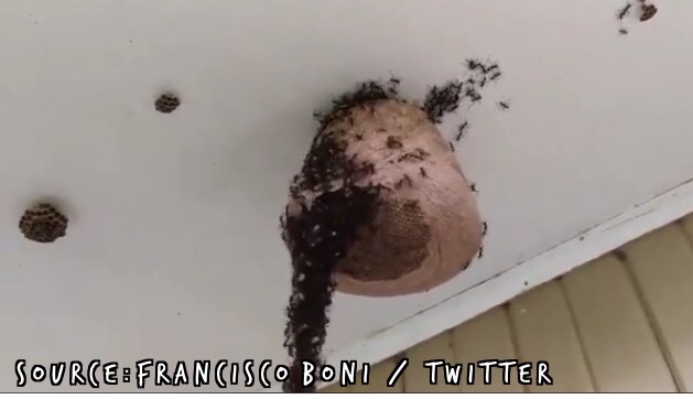 946164C2-9BD1-4A0A-B748-314519807828.jpeg