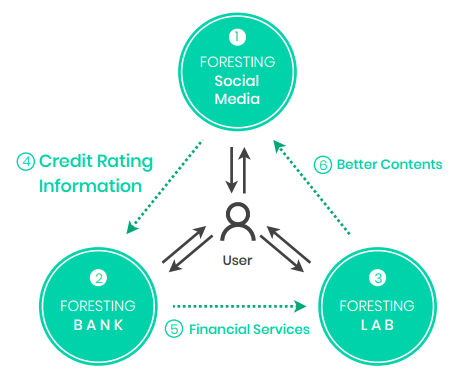 forestingnetwork.PNG