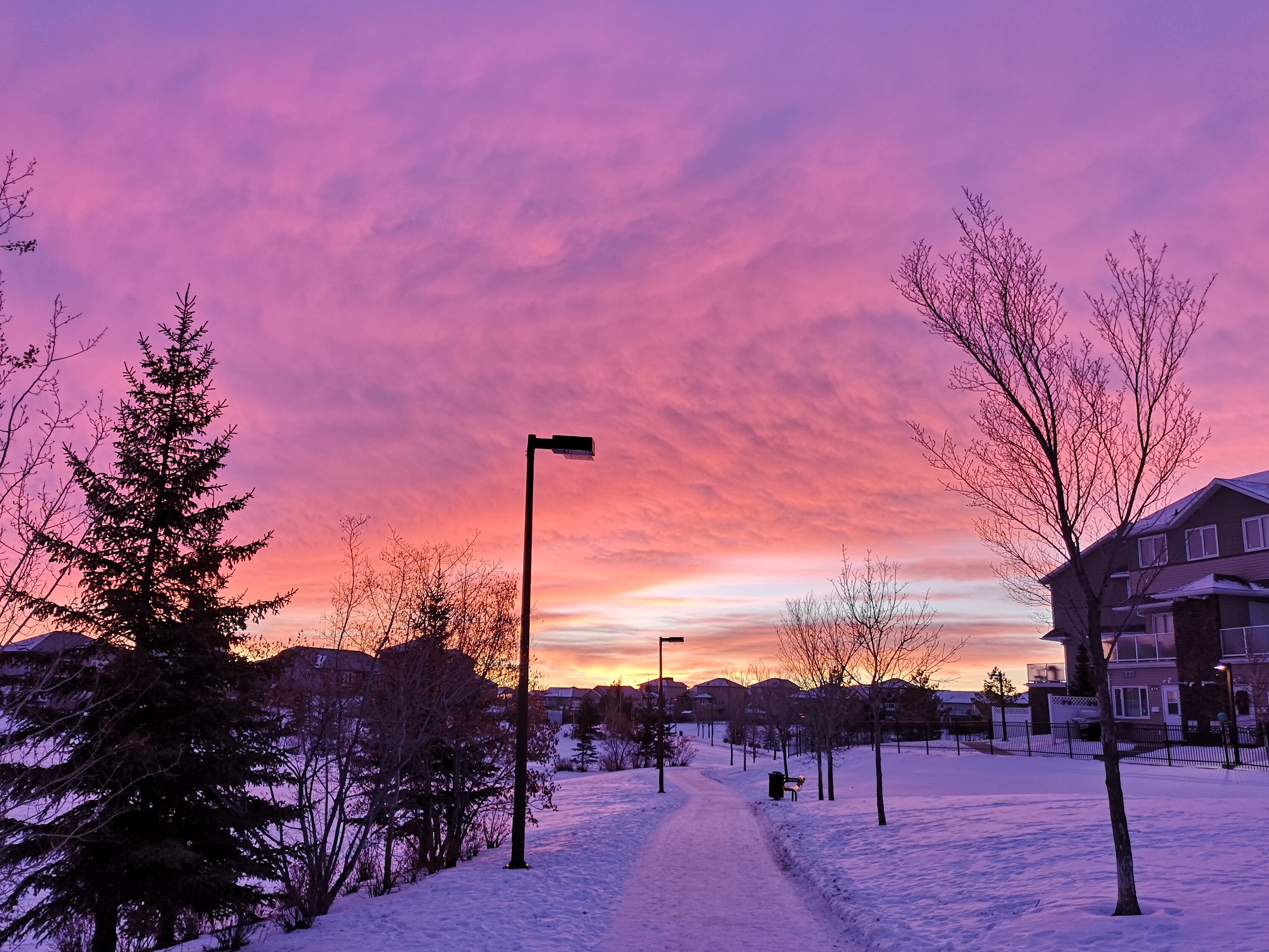 22564FF2-C260-4FD6-895D-6D6FEB3AF19C.jpeg