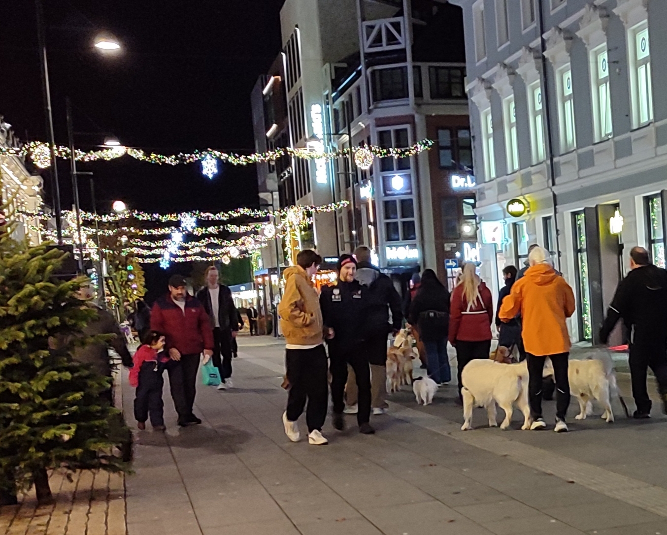 IMG_20251115_185158.jpg