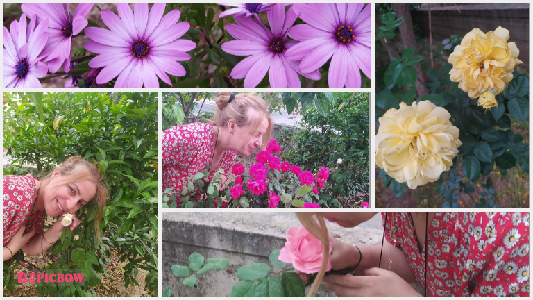 photo-collage (1).png