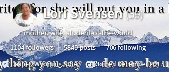 viking-ventures.jpg