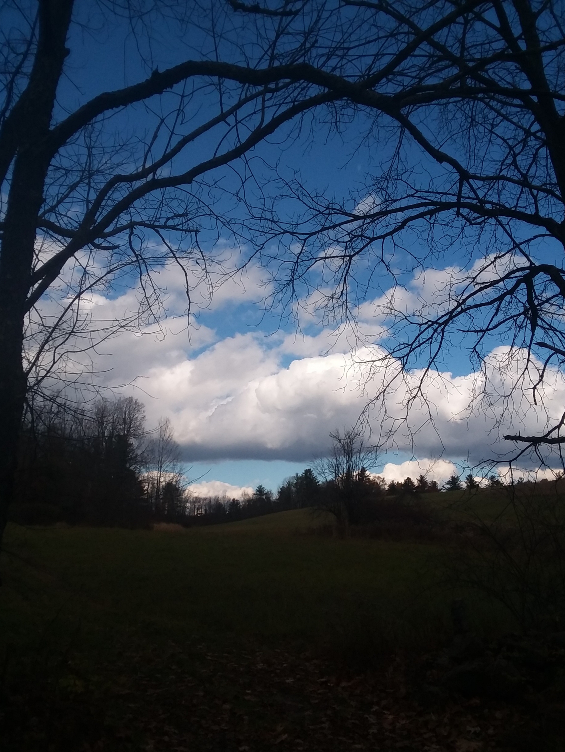 20191107_085822.jpg
