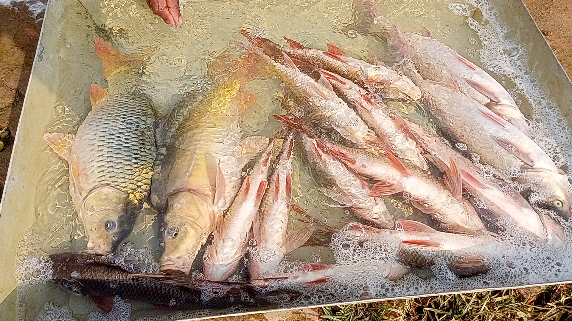 IMG20260120143507.jpg