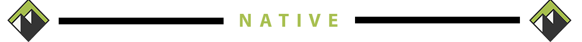 Native border logo.png