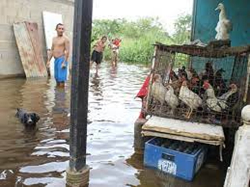MONAGAS.jpg