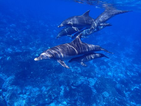 sea-1677647__340.jpg
