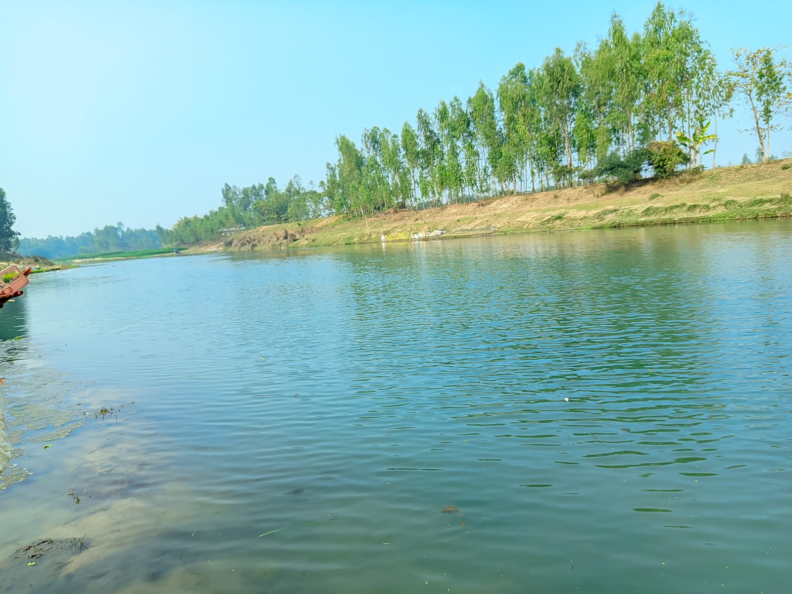 1000080931.jpg